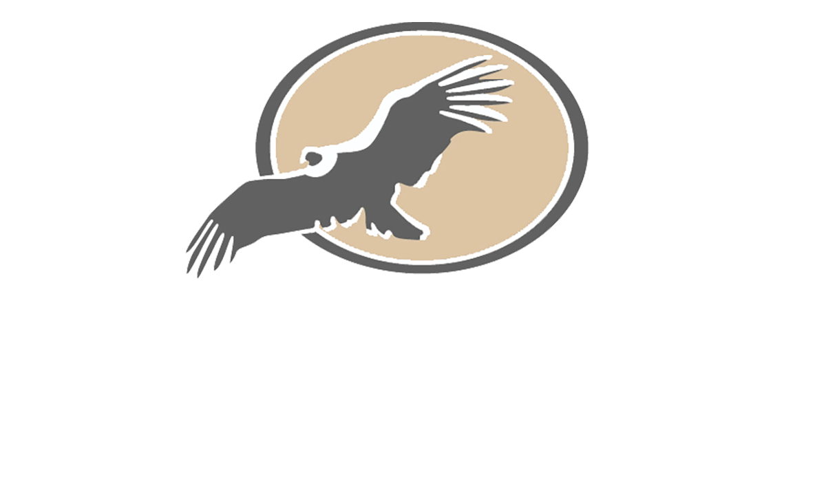 Condor Suites Apart Hotel