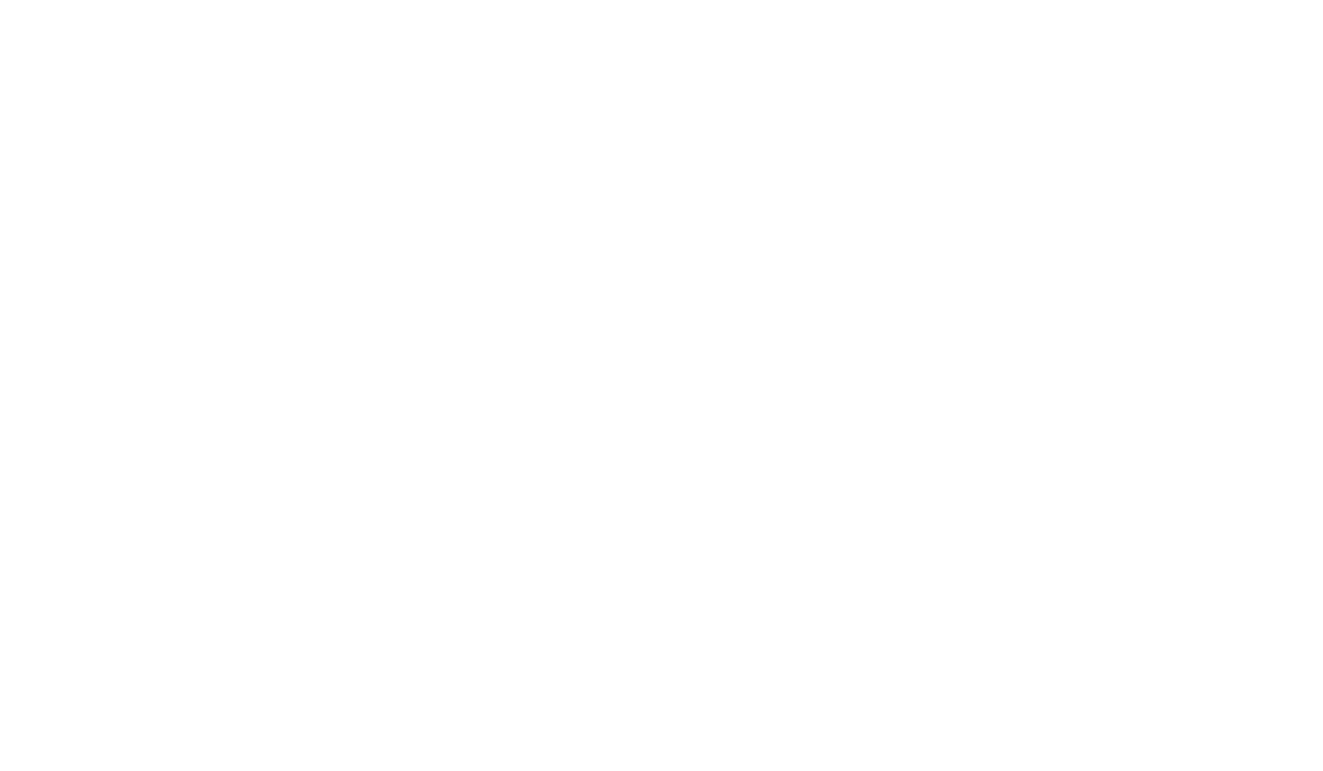 Tupungato Divino